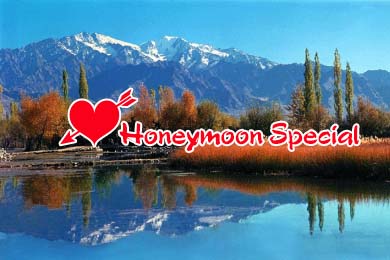 Manali Honeymoon Package
